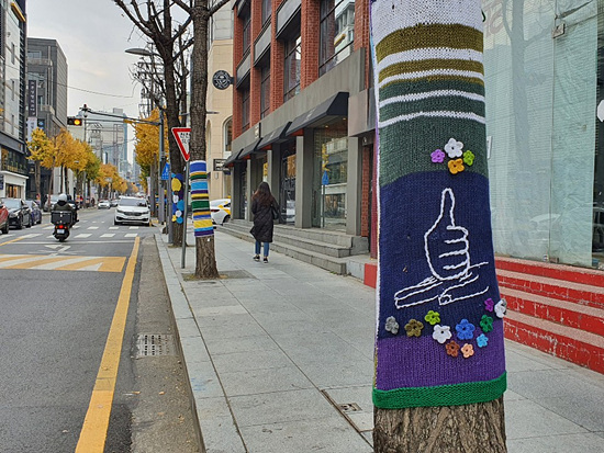 서울, 어디까지 가봤니? - 신사동 가로수 길에서