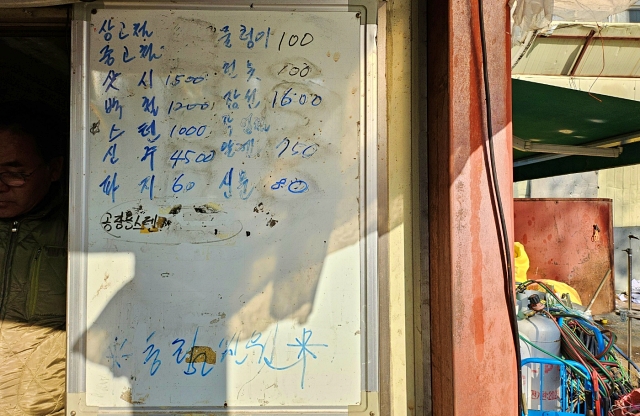 새벽 5시부터 고물 100kg 주워도 일당 6천원...대구, 여든 폐지 노인들의 하루
