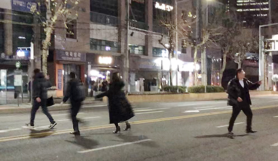 한밤중 ‘도로의 무법자’…무단횡단 불사