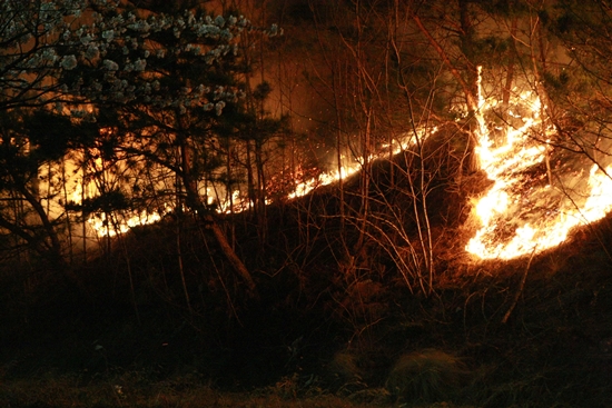 한전 “고성 산불 발화 지점 변압기 아닌 개폐기”
