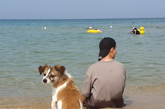 올 여름 펫캉스는 국내에서 오붓하게…원스톱서비스 선호