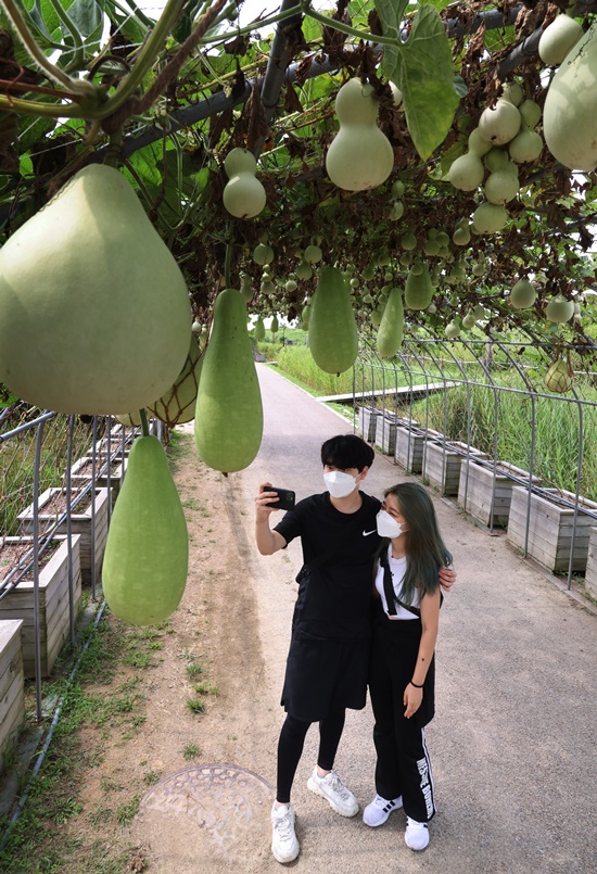 어느덧 가을 문턱, 처서