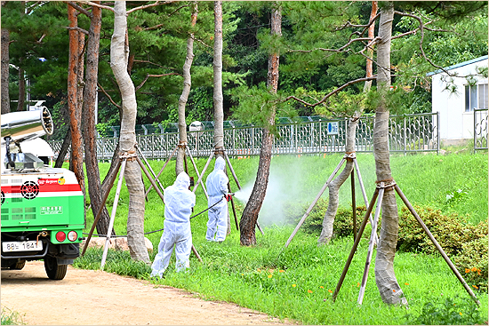 청송군, 여름철 돌발해충 예찰·방제 ‘총력’
