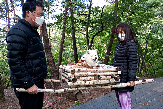 국립검마산자연휴양림, 반려견 동반 휴양 기회 제공