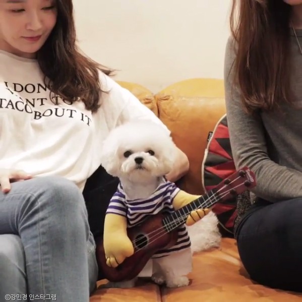 다비치 강민경 이번 싱글 기타리스트 흊춘호 