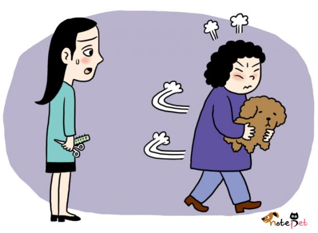 강남은 미용을 얼마나 잘하는데!