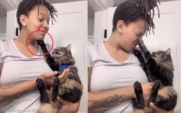 집사 쓰담쓰담 해주는 고양이..인간아, 너 쫌 귀엽다?