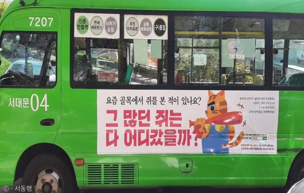 집고양이 하고 싶어요 대구 시내버스에 등장한 길고양이 입양 홍보 광고
