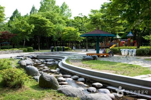 양재시민의숲 반려견놀이터 추진 본격화
