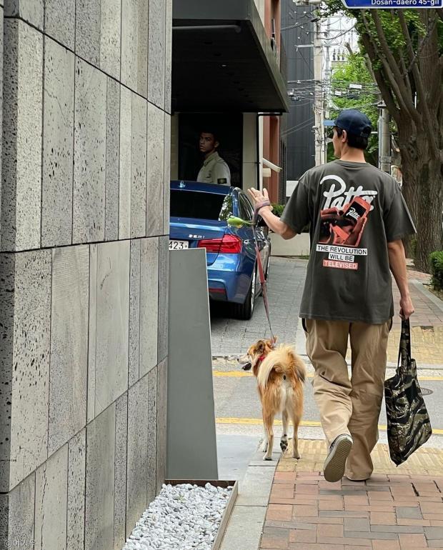 이기우, 반려견 테디와 함께한 여유로운 산책..낮에는 반팔도 편한 오늘 날씨