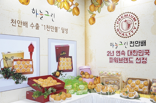 깨끗한 하늘에 그린  청정 원예 농산물