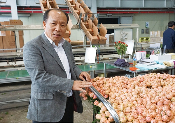 국내 장미 수출의 견인차, 로즈피아