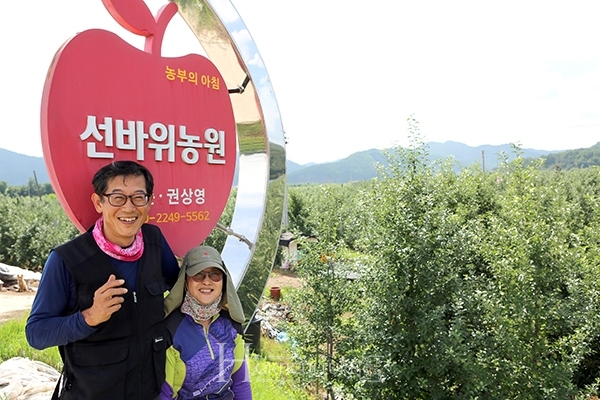 여름사과의 왕  썸머킹