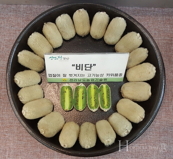 비타민C 함량 높고, 먹기 편한 참다래 품종 비단 키위