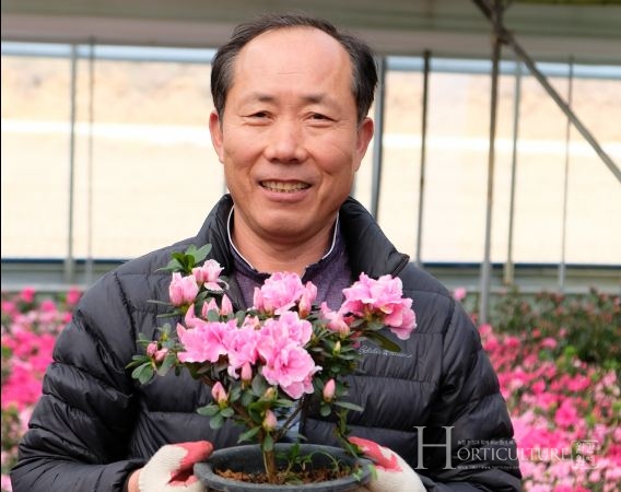 화려한 꽃을 보고 싶다면 아잘레아