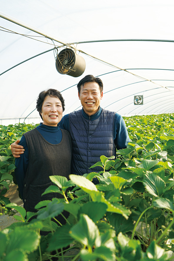 학표 센타그립 코팅필름, 습도 조절하고 응애 없어 99% 만족