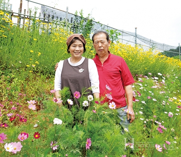 두부처럼 부드럽게 오감을 만족시키는 꽃마루농원