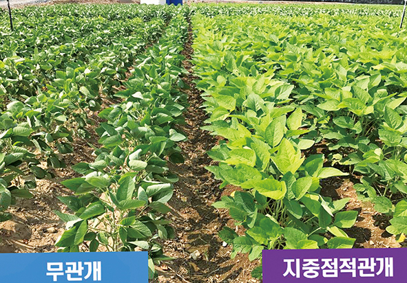 자동물관리시스템으로 수확량 높이고 노동력 줄이고