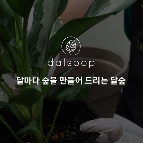 ㈜데이터하이브, 반려식물 정기구독 서비스 달숲 체험단 운영 시작