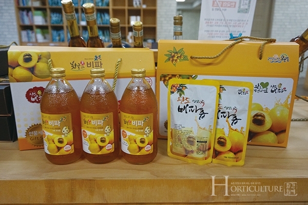 맛이 좋고 영양 풍부한 과일, 비파를 드셔보세요~