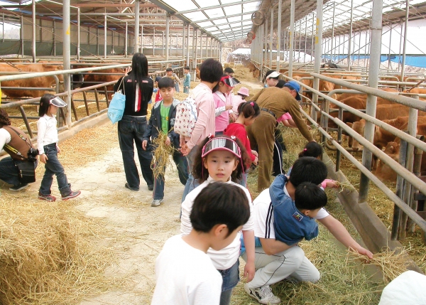 [농촌체험 교육농장 탐방②] 성주 가나안농촌교육농장, 한우 성장·일상체험