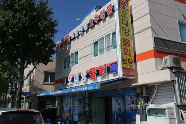 포항 맛집 30년 전통 원조 고추장물회 봄꽃 데이트 여행코스로 추천하는 오대양물회