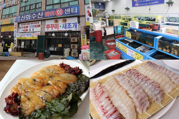 유성 맛집 대전신화수산에서 저렴하게 즐기는 신선한 회