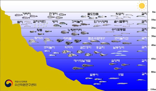 어린물고기, 어종에 따라 분포수심이 다르다
