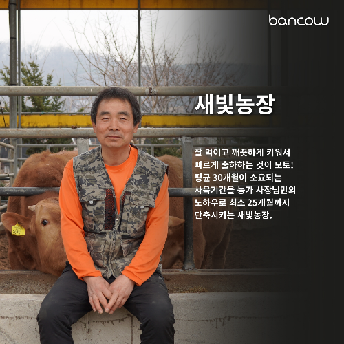 한우자산플랫폼 뱅카우-강화도 새빛농장 맞손