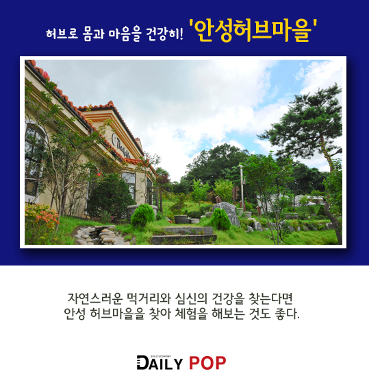 [나홀로 여행] 가을의 향기로운 허브 가득 경기 안성으로 떠나보자.