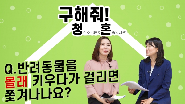 [구해줘! 청혼] 집주인 몰래 키우던 반려동물! 들킨다면 쫓겨날까?