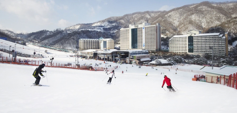 공정위, 비발디파크 렌탈샵협의회 스키복·장비 가격 짬짜미 시정명령