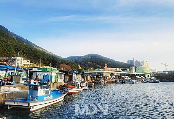 [여행 스케치] 부산 꼼장어 제대로 만끽하려면 섭자리마을로 GO