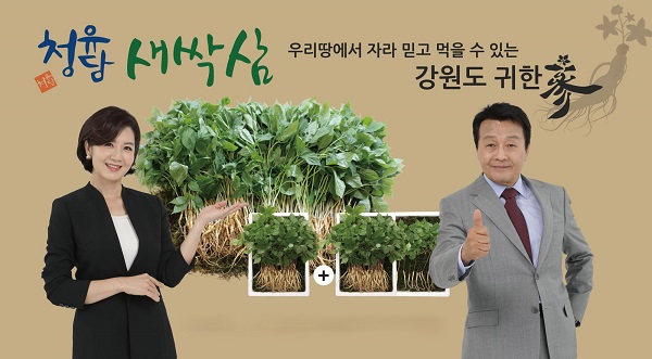 신개념 웰빙식품 청유담 새싹삼, 가정의 달 이벤트로 세일 행사 선보여