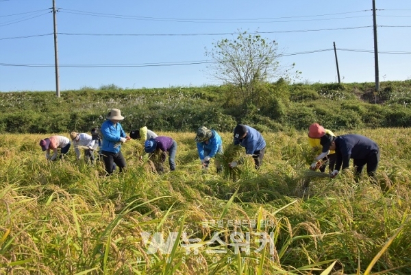 광주 광산구의회, 태풍 피해 농가 일손돕기... 현장의정 실천