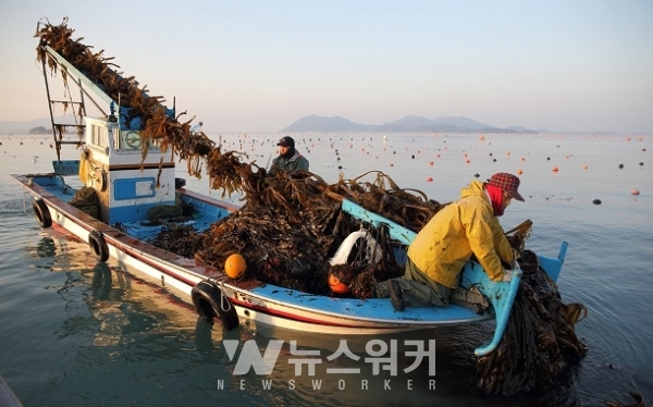 완도군, 어업인 걱정 덜어드립니다!