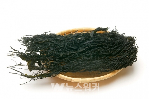 완도군, 5월 해양치유식품 바다의 채소 미역 선정