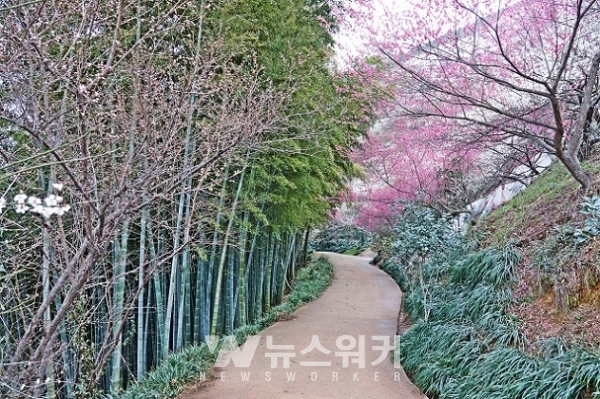 광양시, 남도의 부엌 테마코스 광양발효밥상 시범 운영
