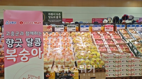 고흥 복숭아 10톤 롯데마트․슈퍼 납품, 불티나네!