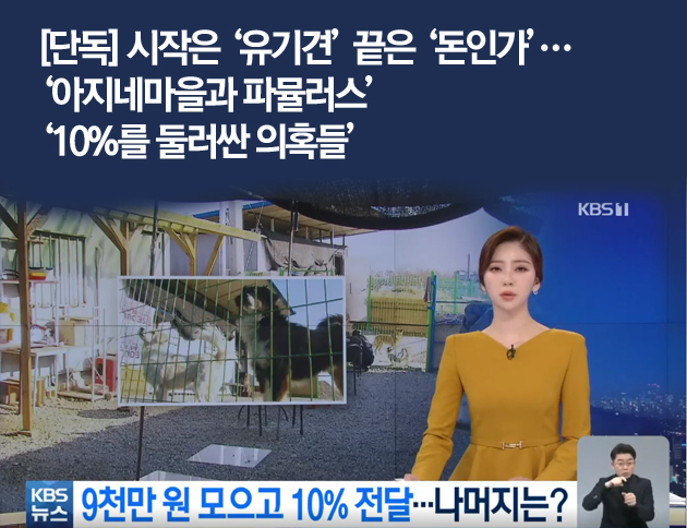 [단독] 시작은 유기견 끝은 돈인가…아지네마을과 파뮬러스 …10%를 둘러싼 의혹들