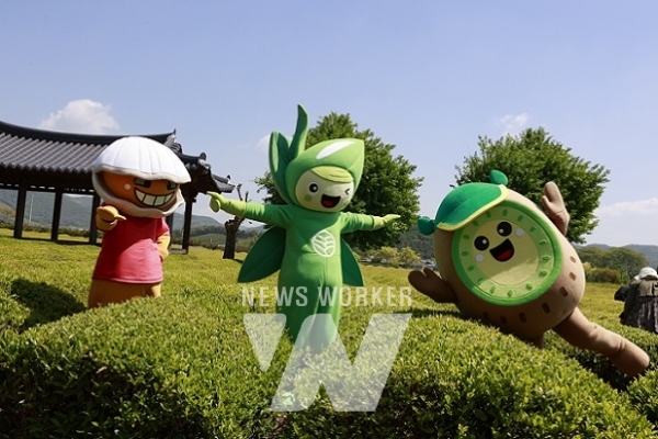 [포토뉴스] 보성 녹차밭에 BS삼총사가 떴다!