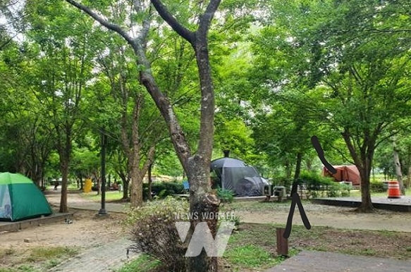 광주시민의 숲 야영장, 도심 위치‧다양한 즐길거리 갖춰 인기