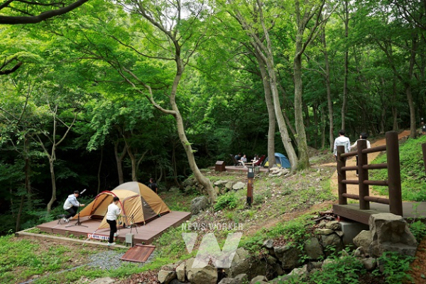 보성군, 제암산자연휴양림 광주 근교 피서지 인기