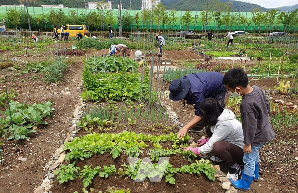 순천시, 도시 텃밭의 주인이 되세요... 텃밭 분양