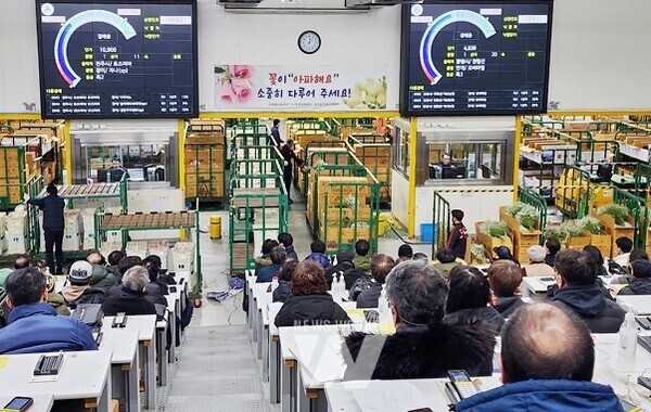 한국농수산식품유통공사 화훼사업센터, 새해 첫 장에서 역대 최대 경매실적 경신!