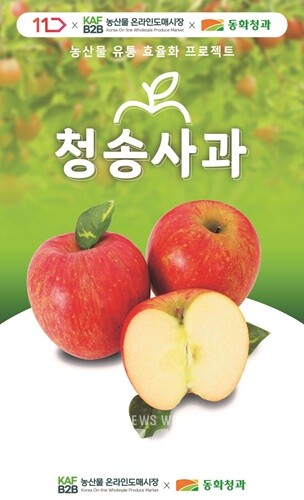 한국농수산식품유통공사 온라인도매시장, 11번가도 거래 참여한다!