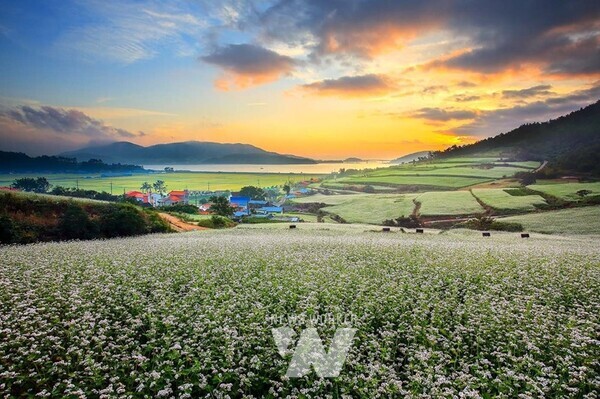 장흥 선학동마을, 유엔관광청 최우수 관광마을 후보 선정