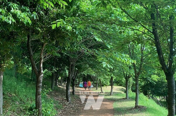 광양시, 마동저수지 생태공원 내 맨발 산책로 조성