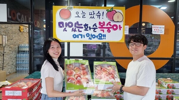 화순군, 아삭한 식감 딱복 본격 출하