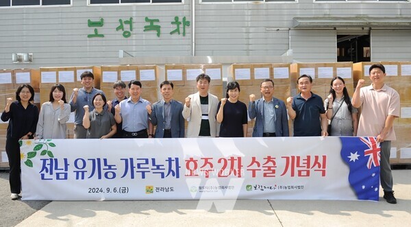 전남 유기농 가루녹차 해외시장서 인기몰이
